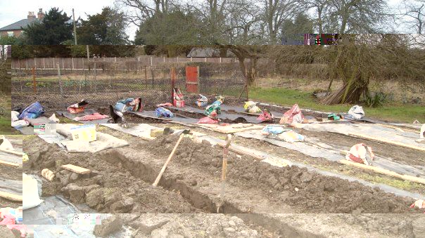 digging 2.jpg