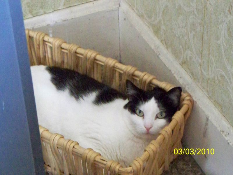 100_0938 reduced.jpg