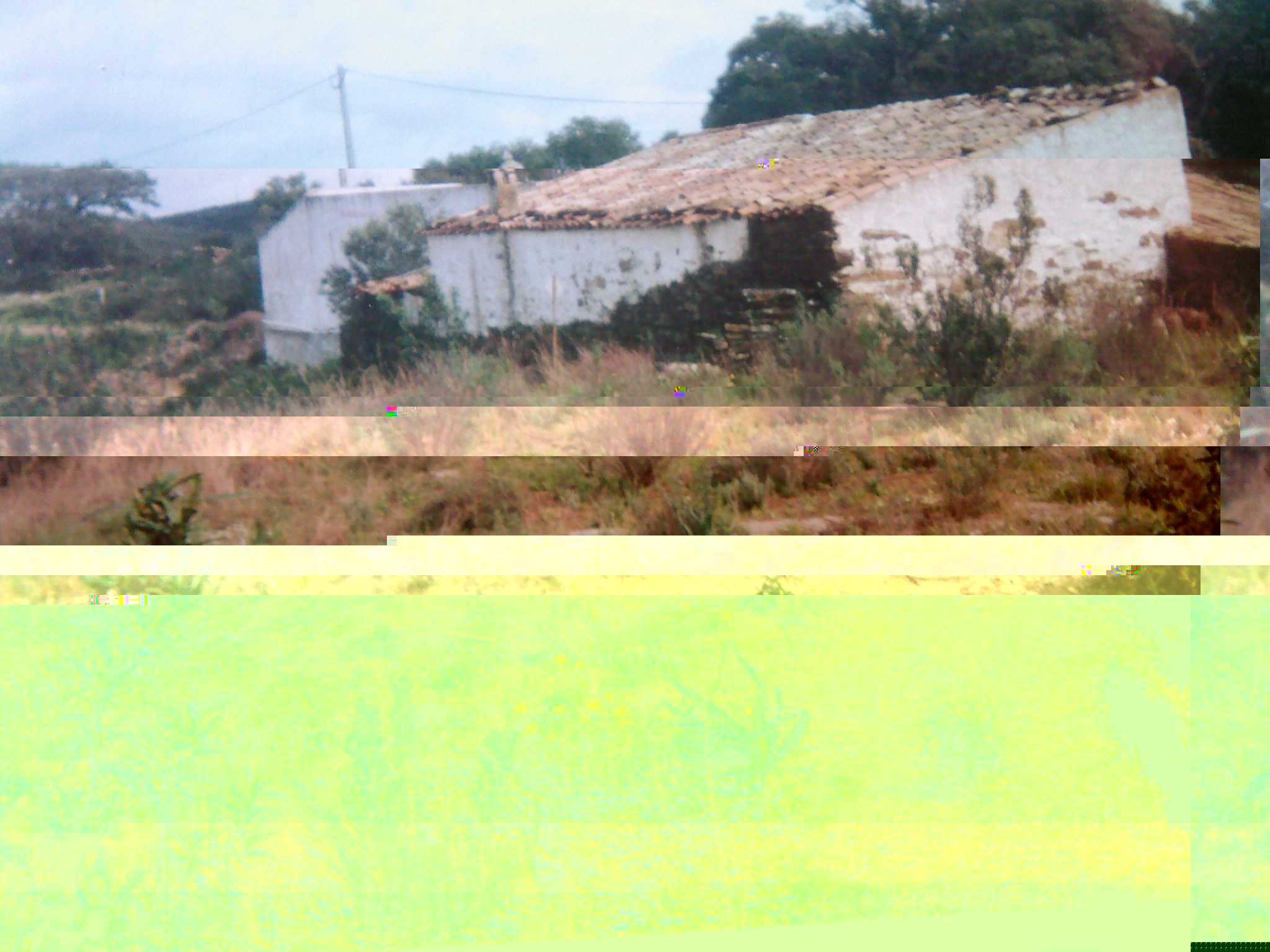 Back view of old house,standing on the land with the house.