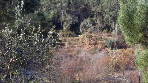 veiw from window front.JPG