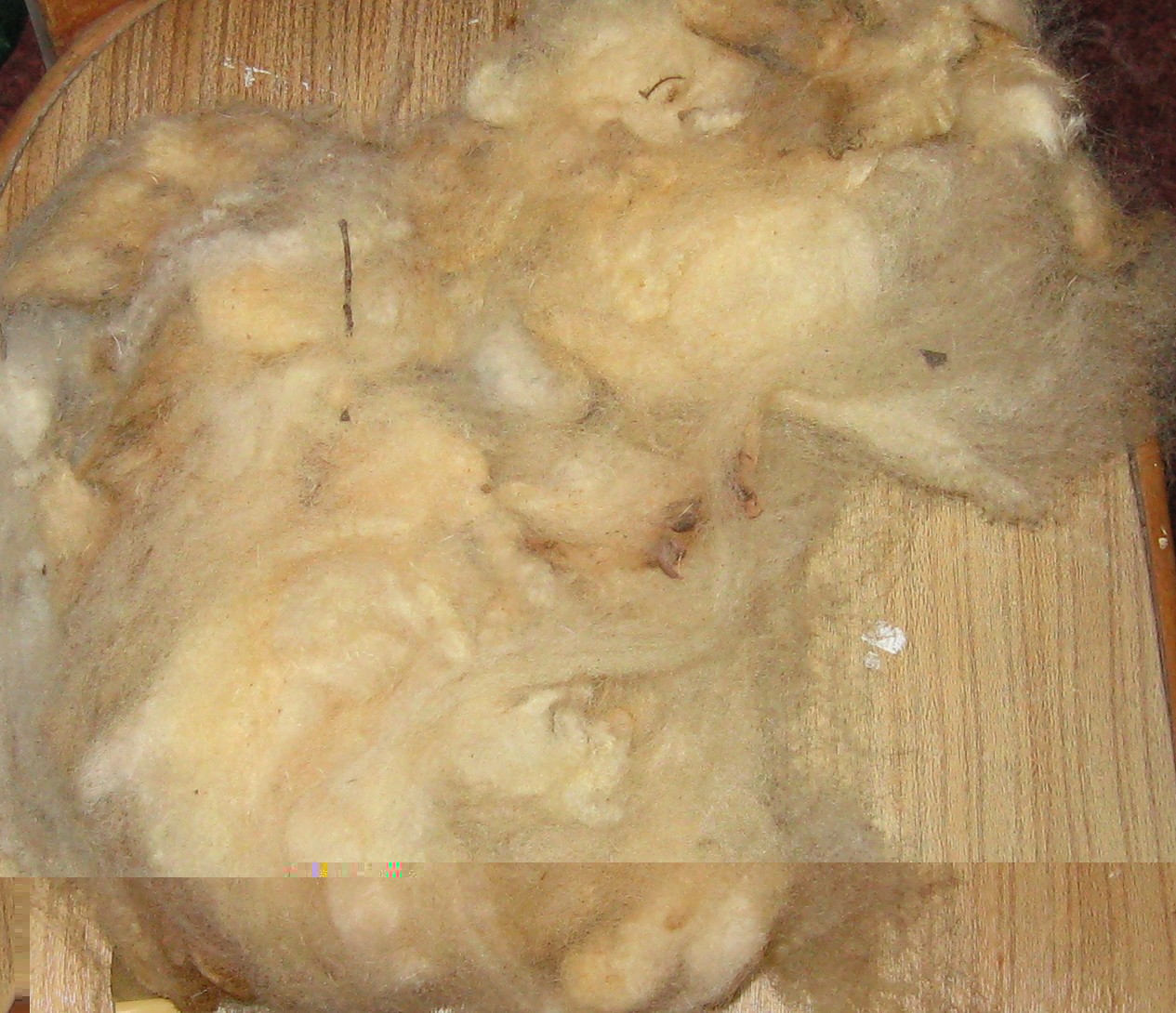 unwashed fleece.JPG