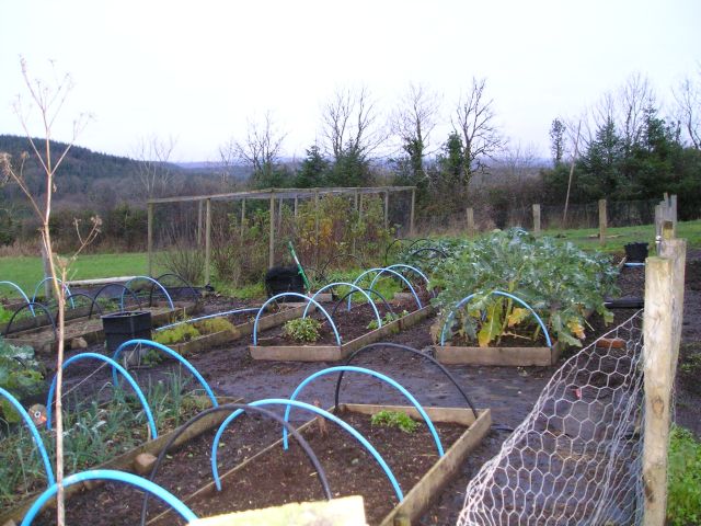 garden visit 12.jpg