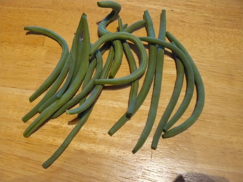 Beans3.jpg