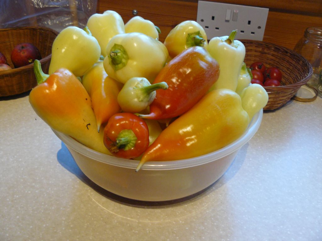 Peppers1.jpg