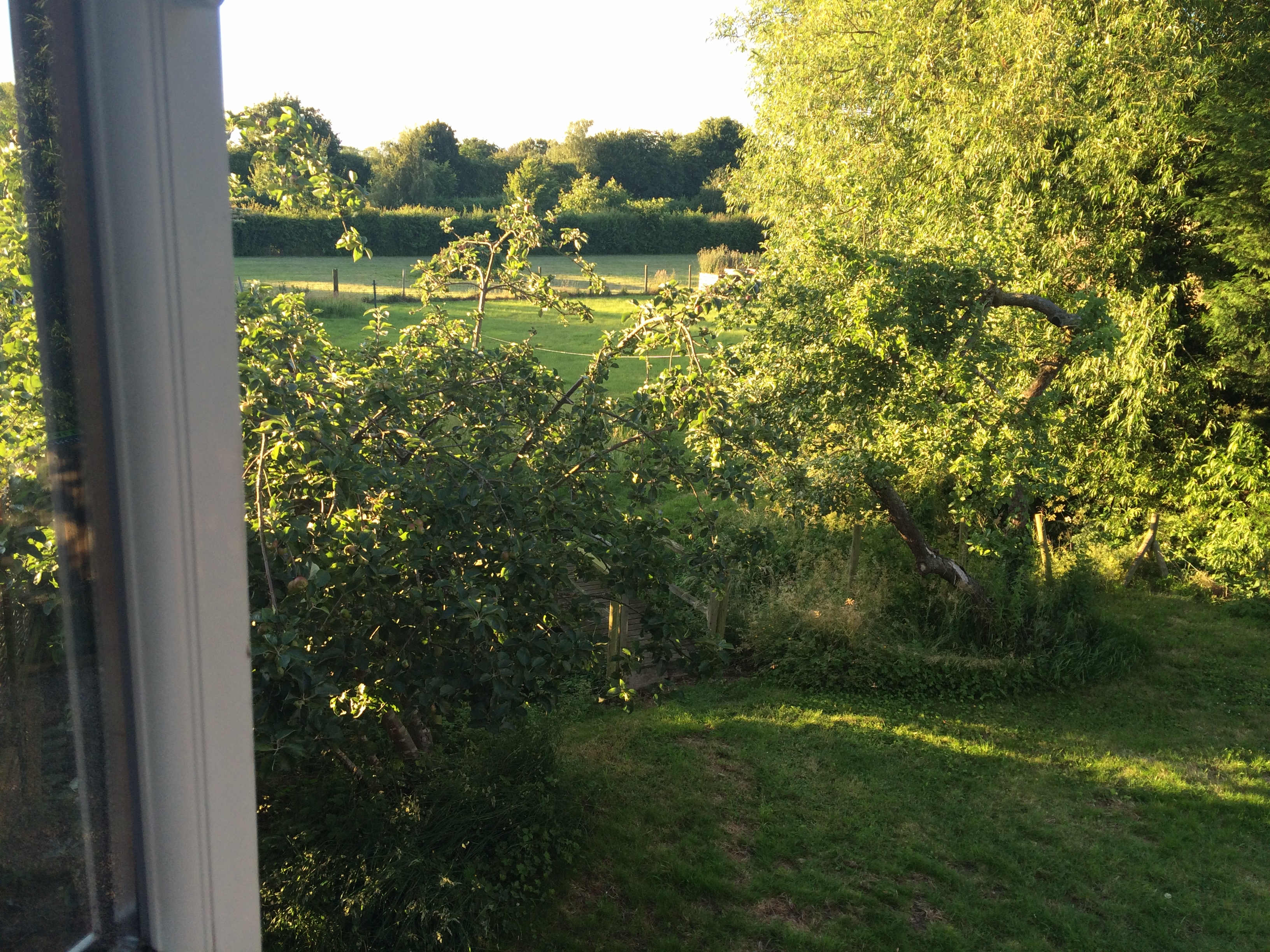 The 'Garden' bit