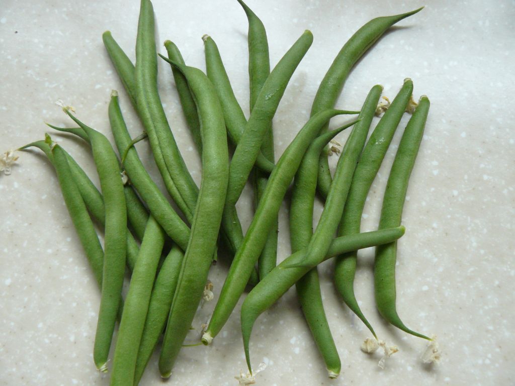 F Beans.jpg