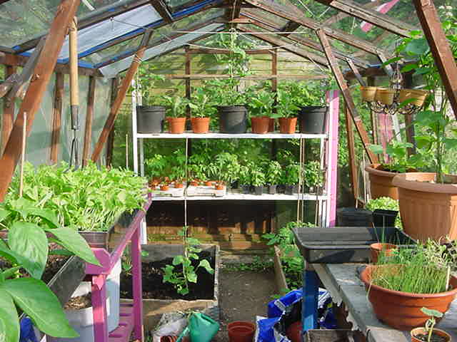 Things taking off in the greenhouse