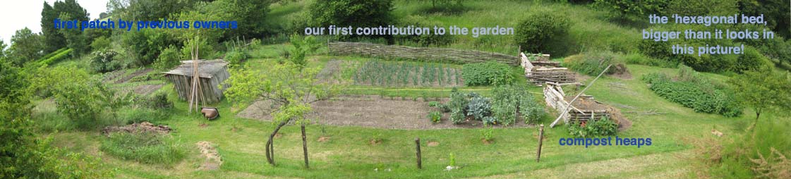 the real garden, dug in three stages.<br />-1, took years to get all the weedkiller outta it, grrr... french people....<br />-2 can't even rember digging this one...<br />-3 the hexagon, dug last year, full of tatties and peas!