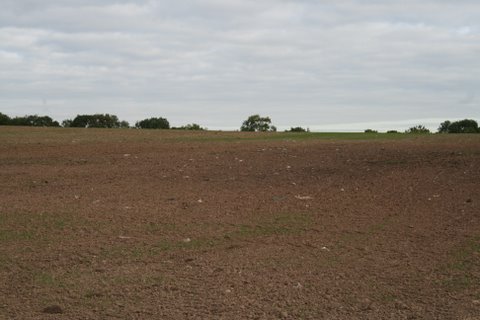 Plastic strewn field