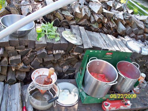 This is where I do most of my summer cooking, so I don't hesat up the house.