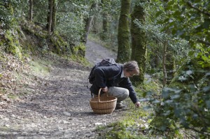 Andy Hamilton foraging 