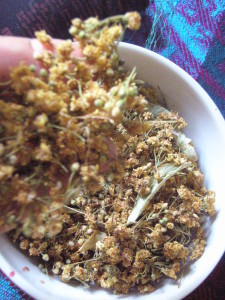 Lime blossoms make a relaxing tea