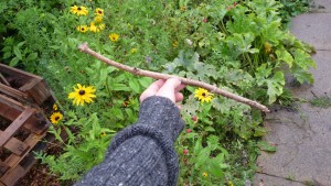 Elder Hardwood