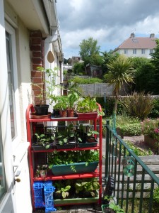 Shelves on a balcony