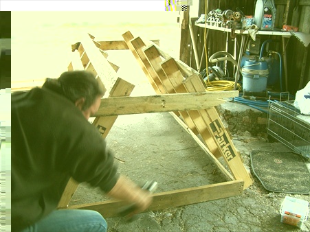 showing the primitive bracing.