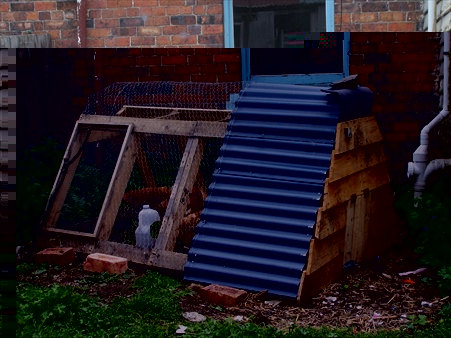 in situ with chickens- you can see both doors.
