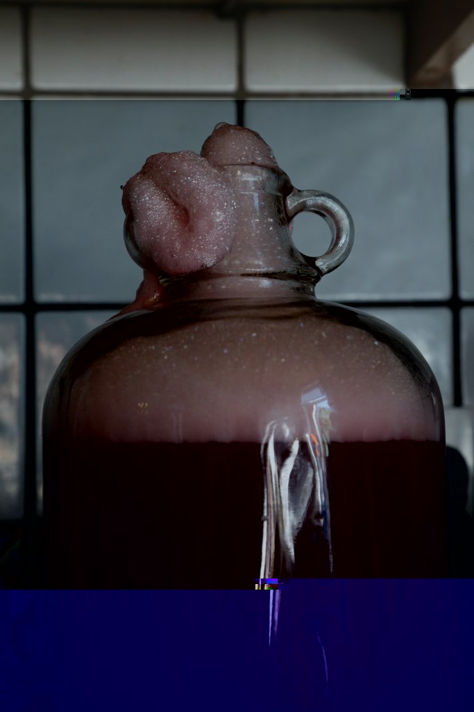 redcurrant wine - day1