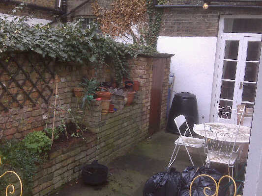 the east wall of the garden with broad beans shed and composter.jpg