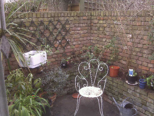 the north east corner of the garden.jpg