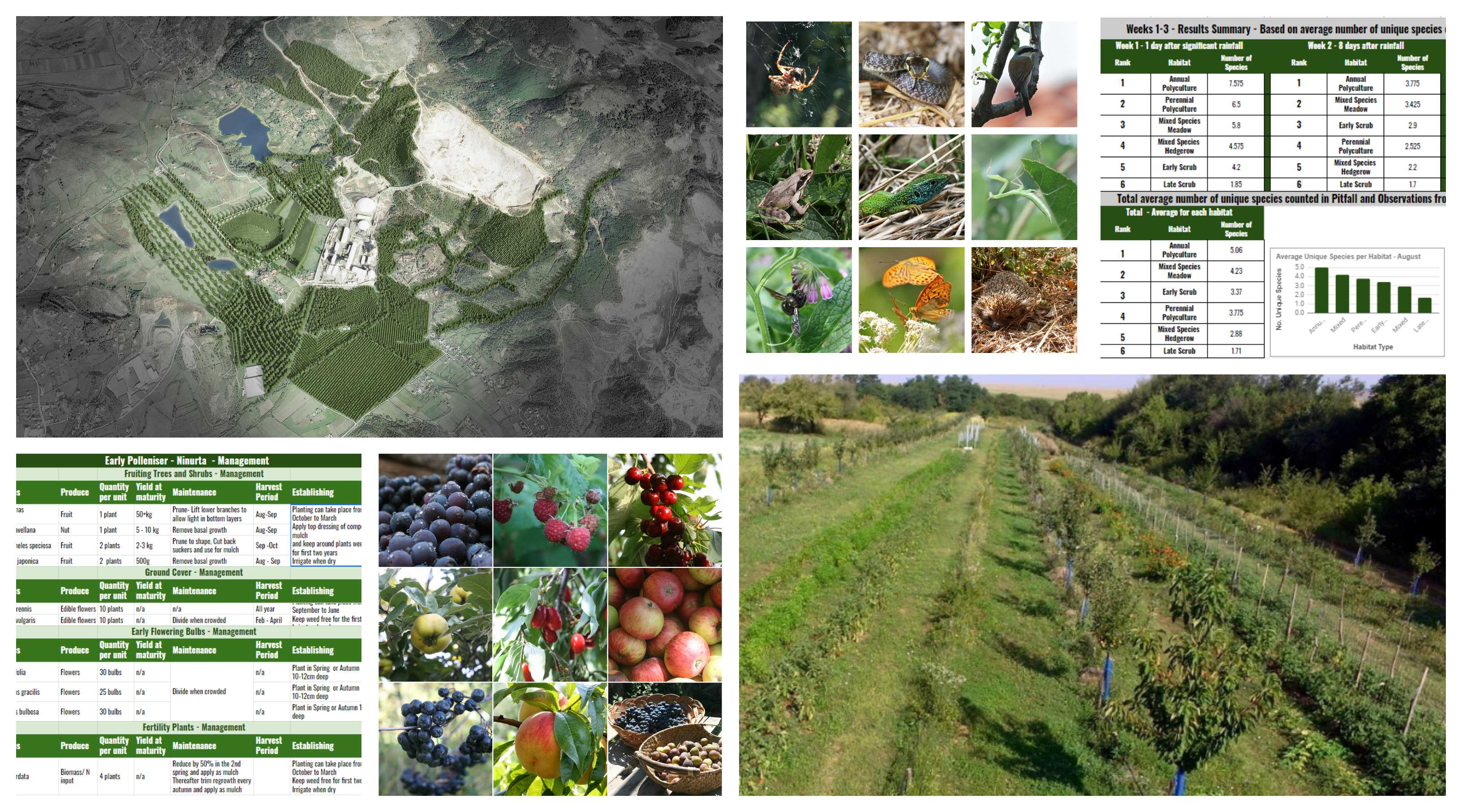 Polyculture_Design_Regenerative_Design_Online_Interatcive_Course (1).jpg