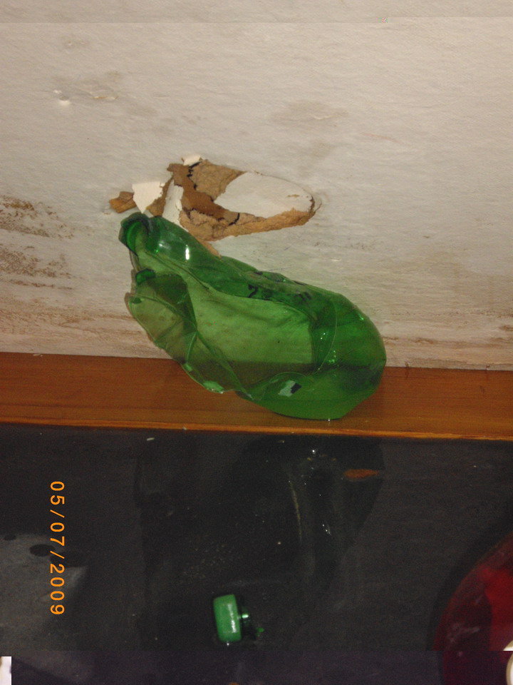 IMGP1433a.jpg