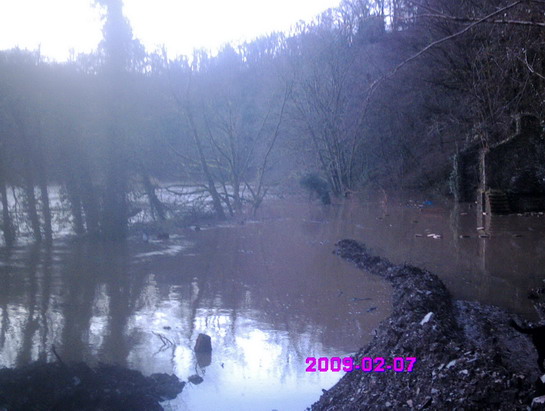 Pic132a.jpg