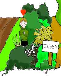 allotment2